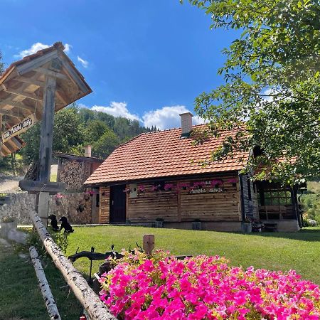 Villa Konak Mandica Avlija à Zaovine Extérieur photo