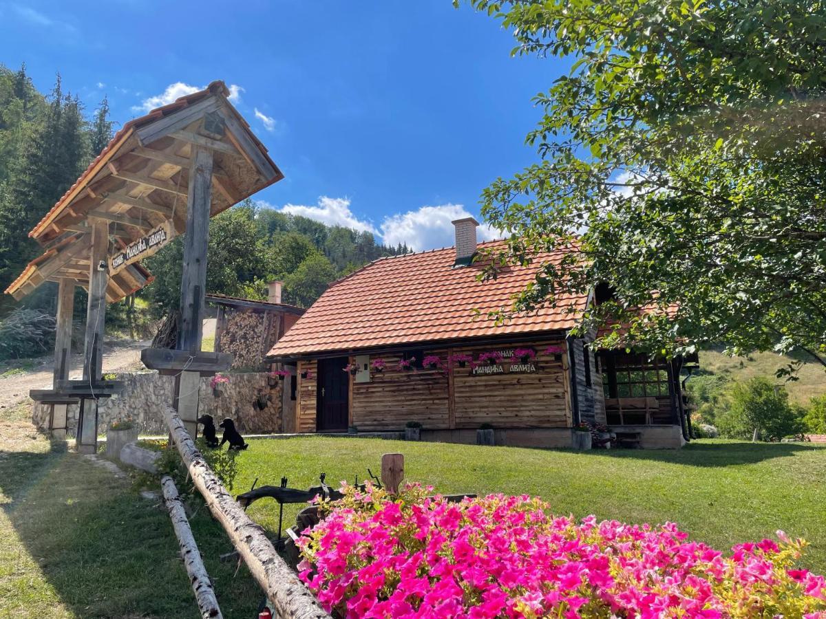 Villa Konak Mandica Avlija à Zaovine Extérieur photo