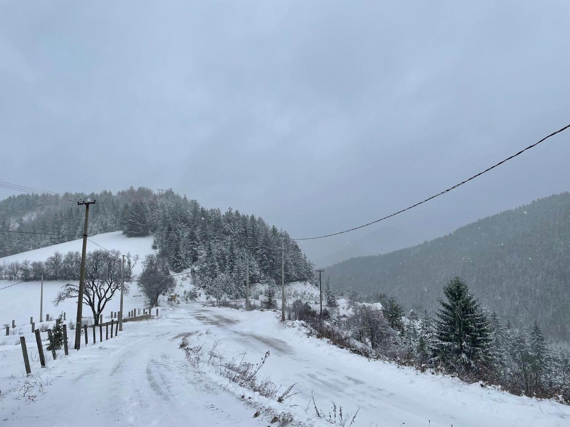 Villa Konak Mandica Avlija à Zaovine Extérieur photo